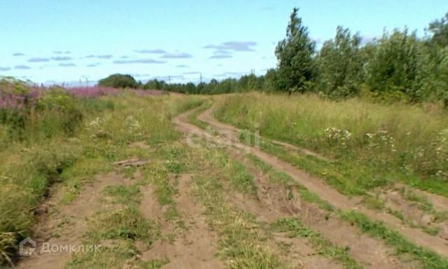 городской округ Феодосия, садовые участки Очистные, Абрикосовая улица фото