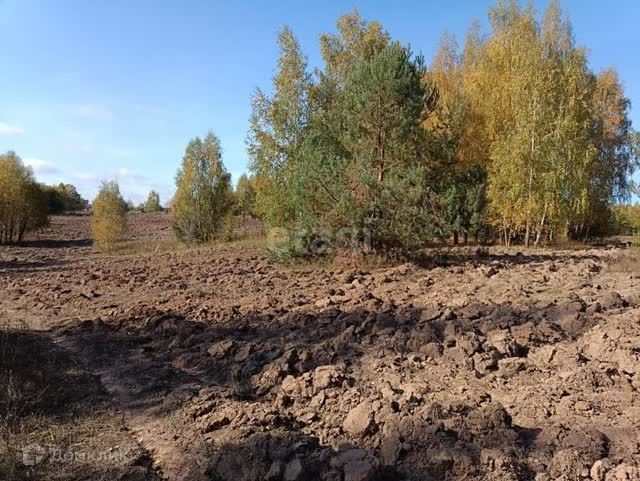 земля р-н Зеленодольский Большеключинское сельское поселение фото 3