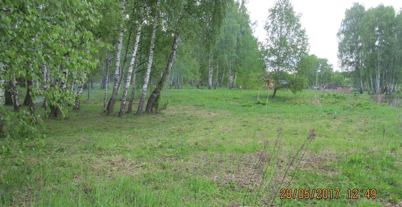 земля г Домодедово садоводческое некоммерческое партнерство Юсупово-2, Троицкое фото 2