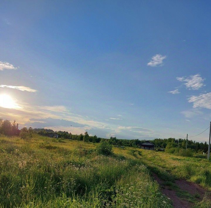 земля г Краснокамск с Стряпунята ул Нефтяников 1 фото 2