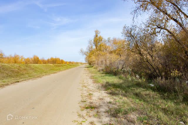 земля г Тобольск район ДОЗа, городской округ Тобольск фото 1