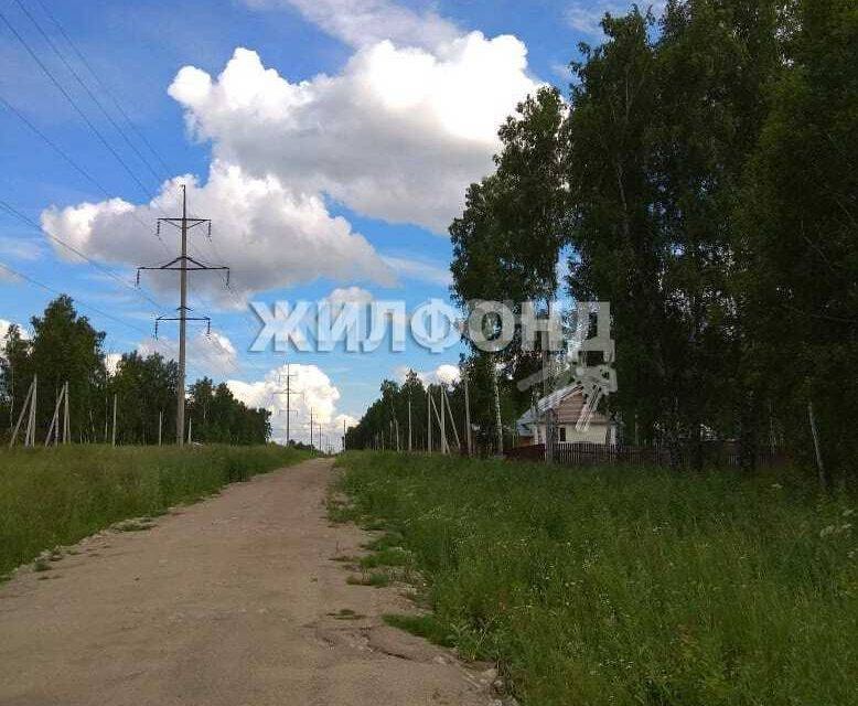 земля р-н Новосибирский с Марусино Звёздная улица фото 1