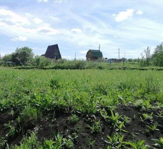 земля с Ильинка пер 1-й Свободы фото