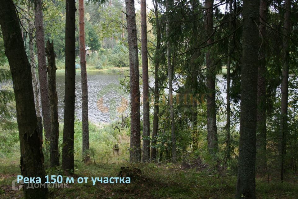 земля р-н Выборгский городской посёлок Рощино, Пионерская улица фото 2