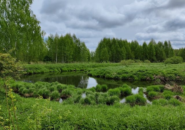 23 км, г. о. Солнечногорск, Менделеево, Ленинградское шоссе фото