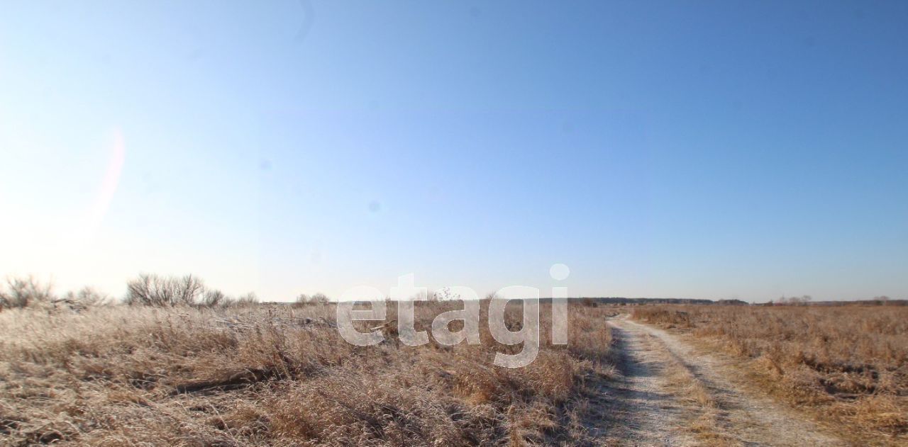 земля р-н Тугулымский п Ертарский фото 4