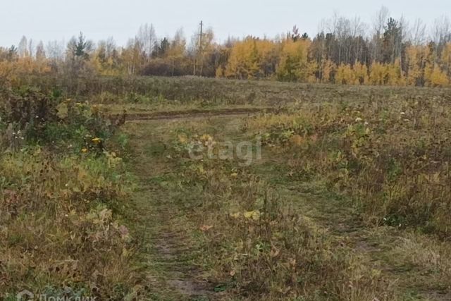 земля Алапаевск, муниципальное образование фото