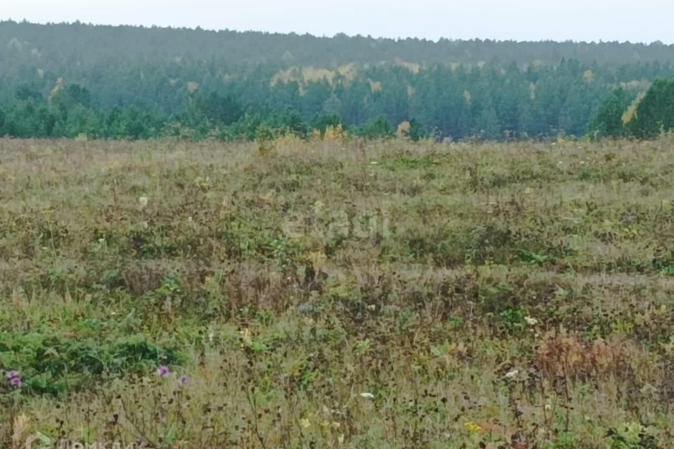 земля г Алапаевск ул Советская Алапаевск, муниципальное образование фото 2