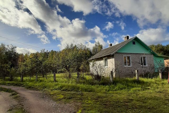 р-н Себежский деревня Шушково фото