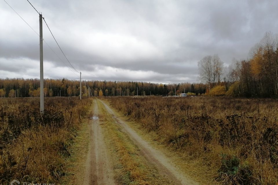 земля р-н Киржачский деревня Новосёлово фото 6