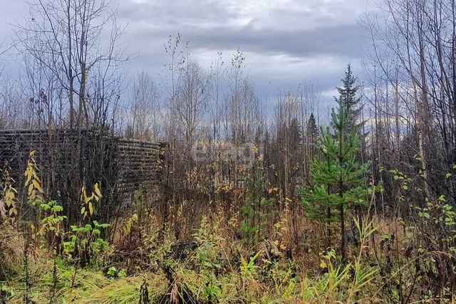 садоводческое товарищество Находка фото