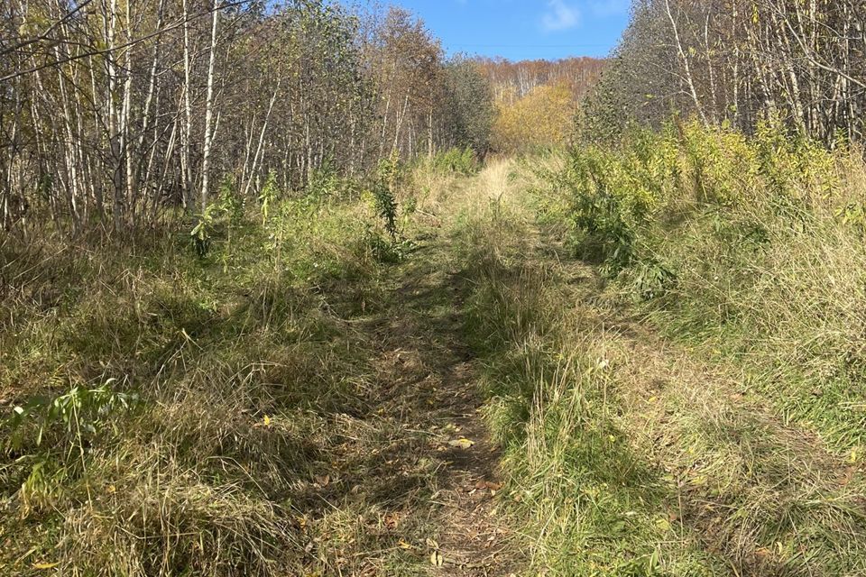 земля г Петропавловск-Камчатский ш Восточное городской округ Петропавловск-Камчатский фото 2