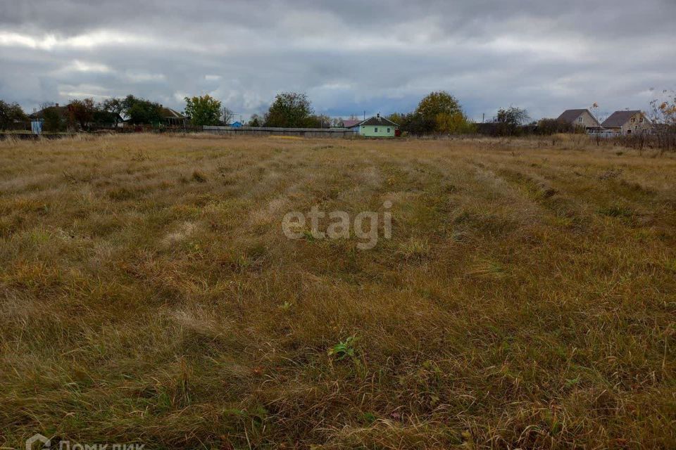 земля р-н Губкинский с Аверино ул Центральная фото 9