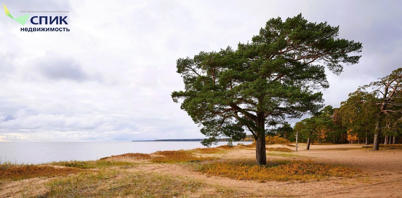 дом г Санкт-Петербург п Ушково ул Тойволовская р-н Курортный фото 28