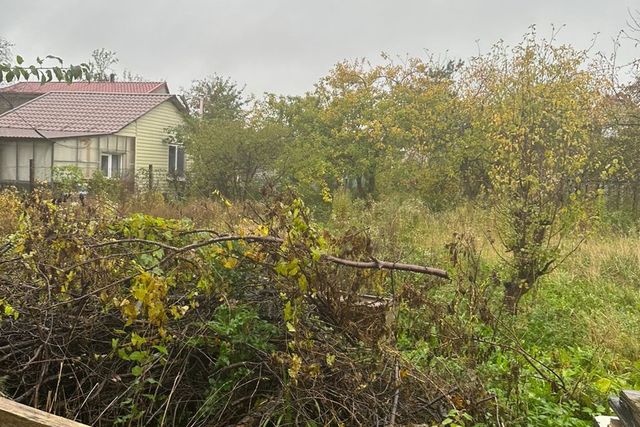 снт Колосок городской округ Калининград фото