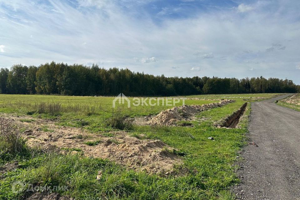 земля городской округ Павловский Посад Павловский Посад фото 2