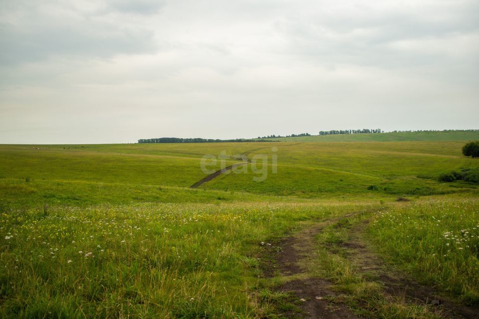 земля г Новокузнецк ул Добрая Шория Новокузнецкий городской округ фото 5