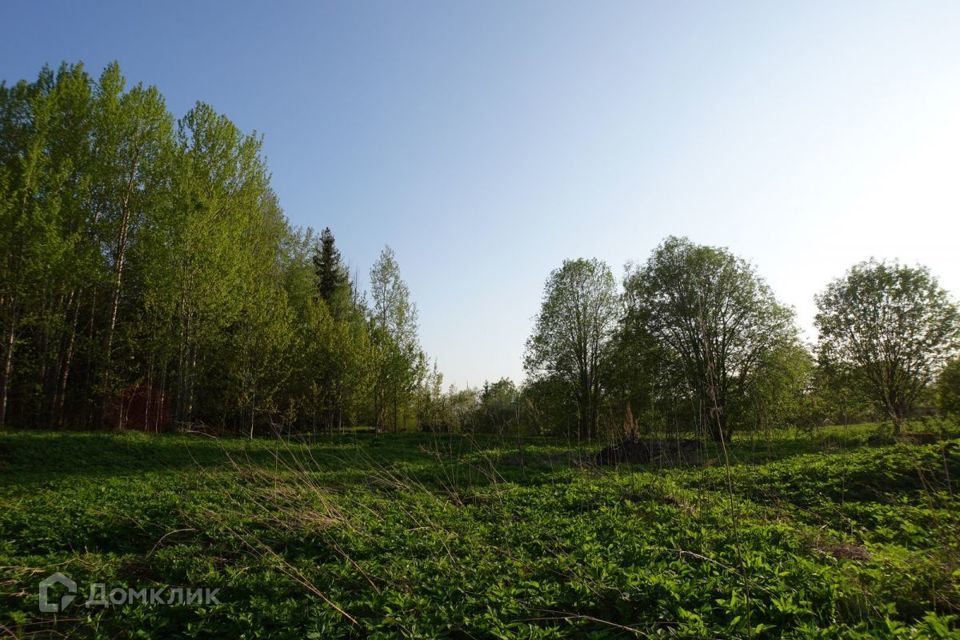 земля Сортавальский район, местечко Светлое фото 10