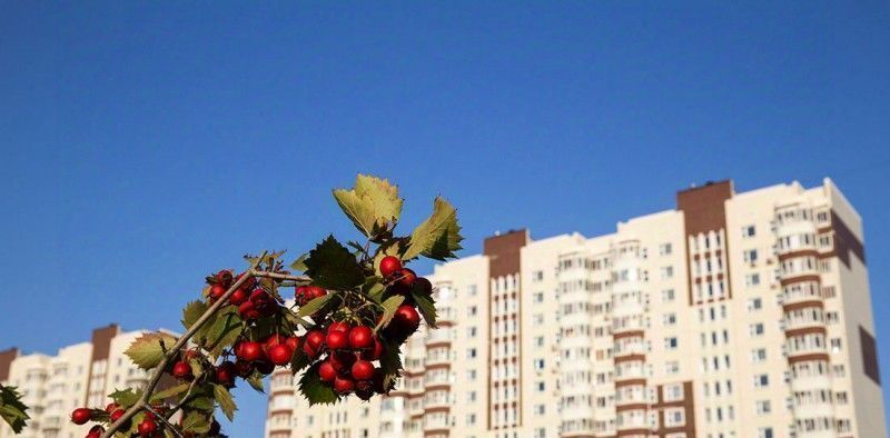 квартира г Москва п Десеновское новые Ватутинки мкр. «Центральный» метро Ольховая к 9/1. 1 фото 3