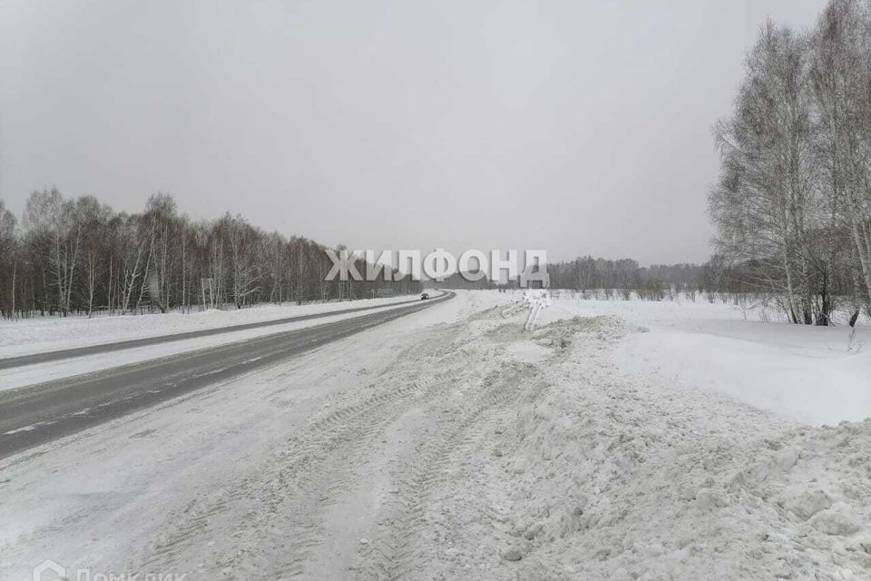 земля р-н Новосибирский село Плотниково фото 6