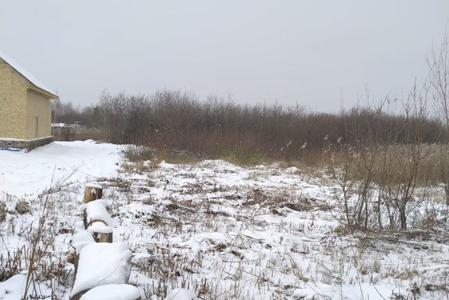 городской округ Омск, садоводческое некоммерческое товарищество Локомотив фото