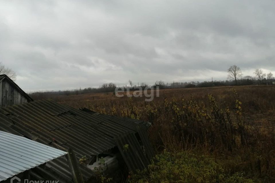 дом р-н Мичуринский с Новое Тарбеево ул Центральная 71 фото 10