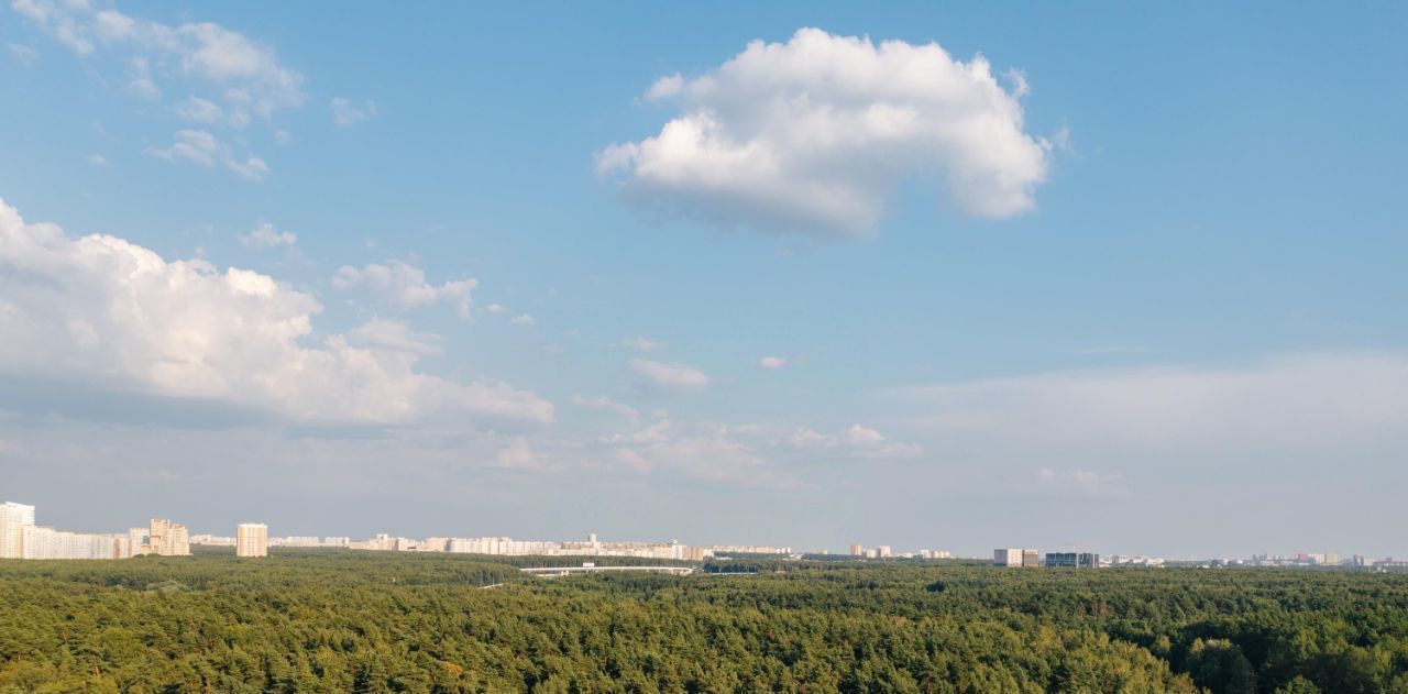 квартира г Москва п Московский метро Говорово № 3 кв-л, Движение. Говорово жилой комплекс, к 1 фото 25