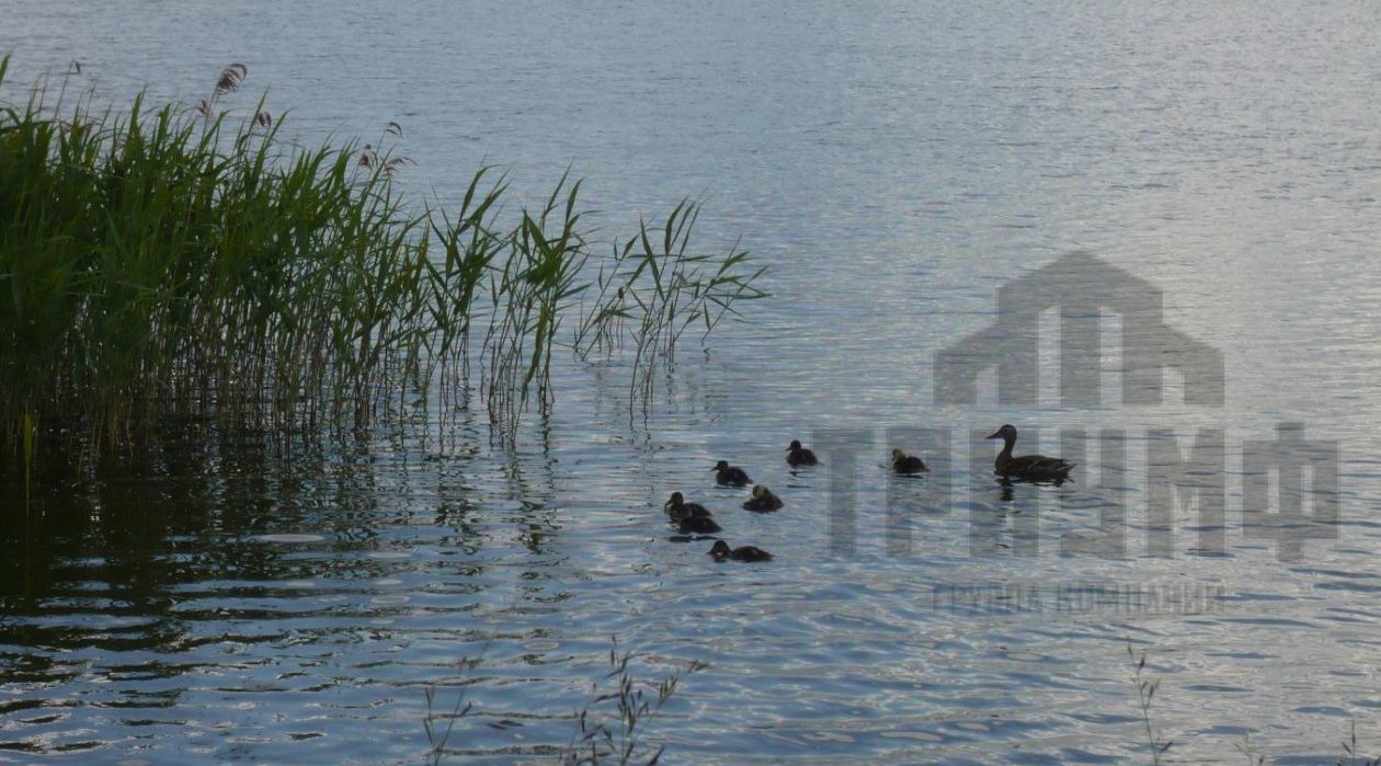 дом р-н Воскресенский с Нестиары ул Советская фото 13