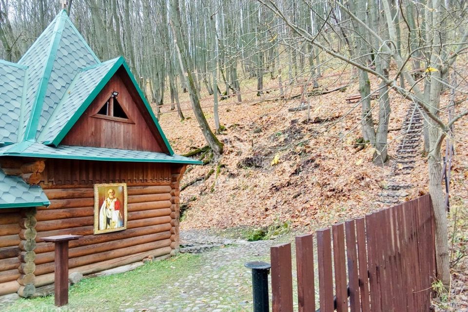 земля г Луховицы ул Полевая городской округ Луховицы фото 3