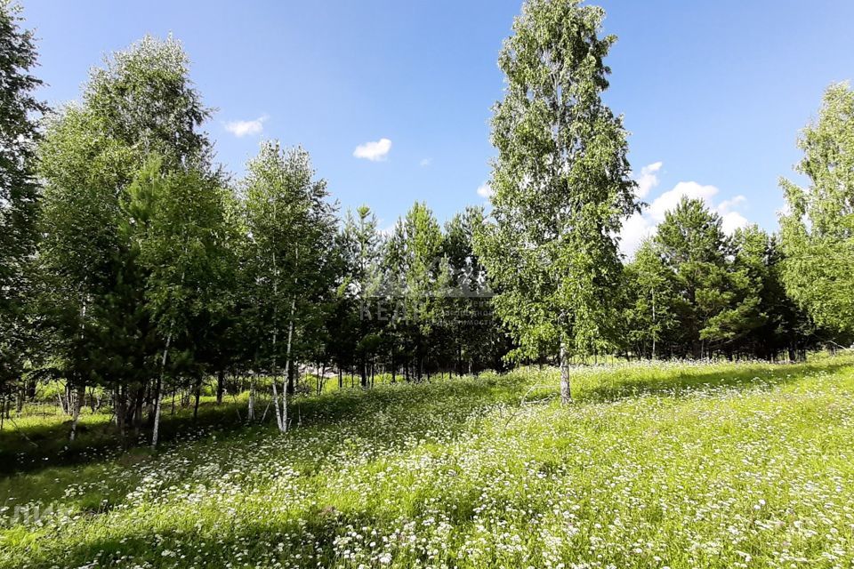 земля городской округ Дивногорск, садоводческое некоммерческое товарищество Ромашка фото 1