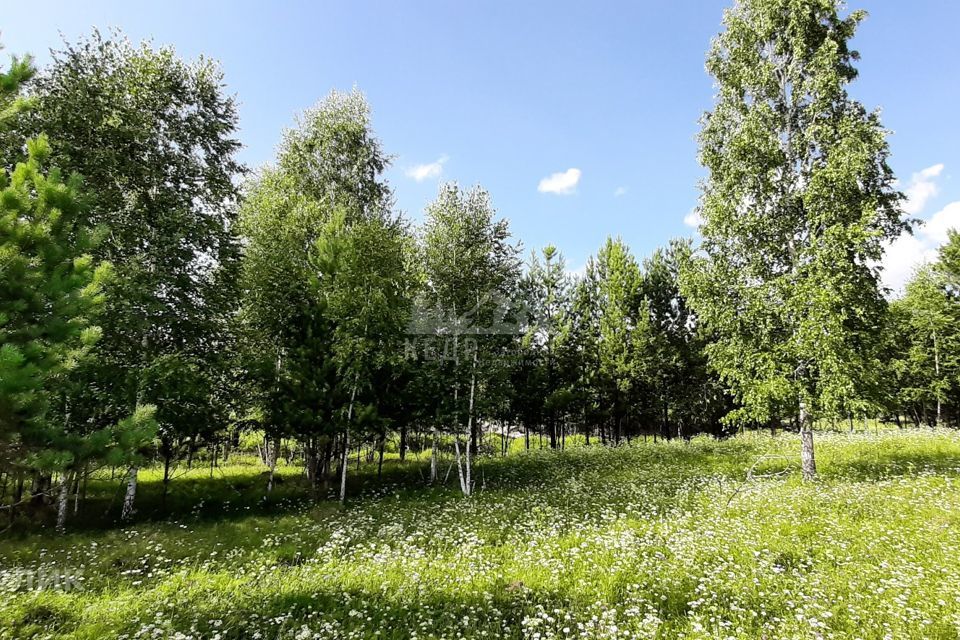 земля городской округ Дивногорск, садоводческое некоммерческое товарищество Ромашка фото 3
