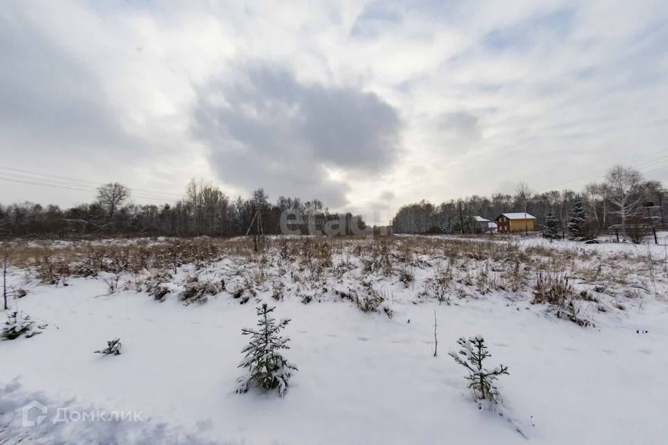 земля р-н Крапивинский п Березовка ул Школьная фото 1