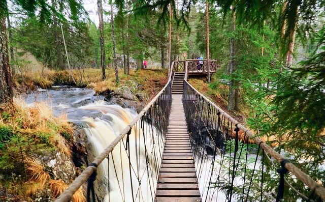 Сортавальский р-н, Кааламское сельское поселение, СОТ Сердоболь фото