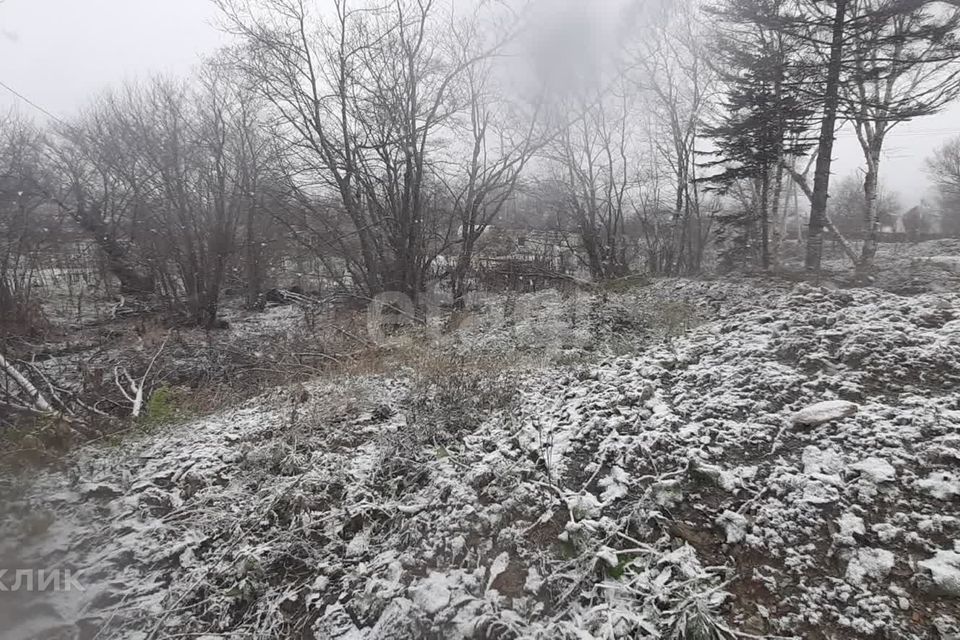 земля г Южно-Сахалинск с Елочки ул Центральная 3 городской округ Южно-Сахалинск фото 5