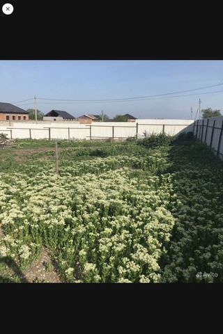 земля дом 10 фото