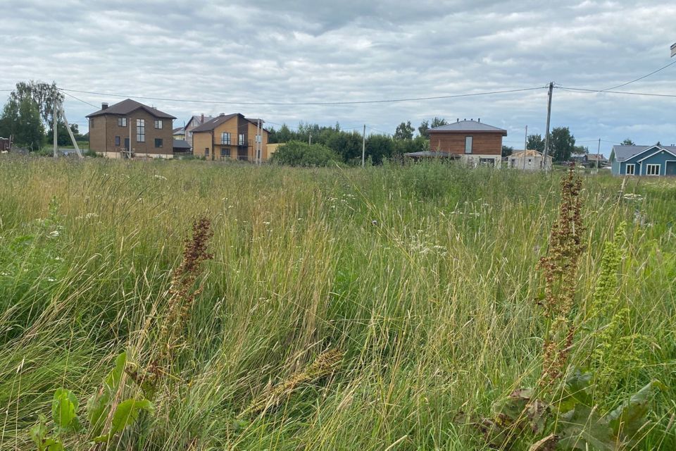 земля р-н Костромской д Стрельниково ул Луговая фото 3