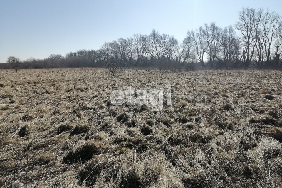 земля р-н Черняховский г Черняховск ул Станция Новый Черняховск фото 5