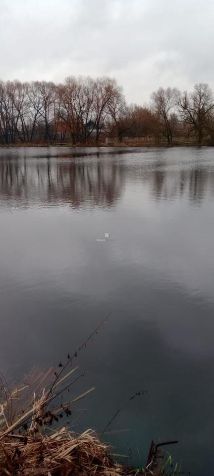 дом городской округ Богородский г Старая Купавна ул Набережная 16 фото 11