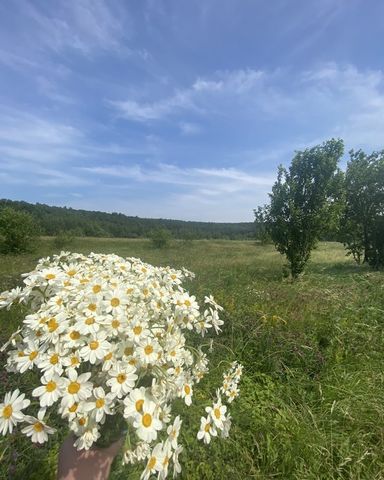 Ульяновская область, Павловка фото