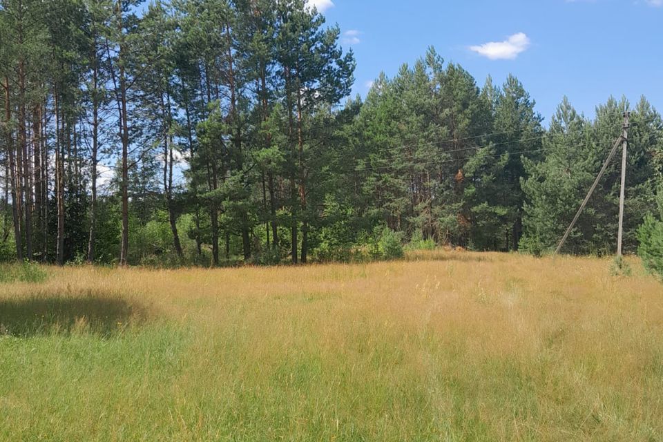 земля городской округ Арзамас, село Наумовка фото 6