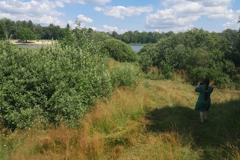 земля городской округ Арзамас, село Наумовка фото 10