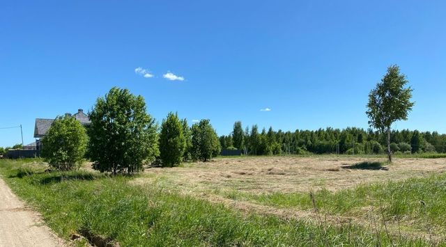 земля ДНТ, 13, Переславль-Залесский городской округ фото