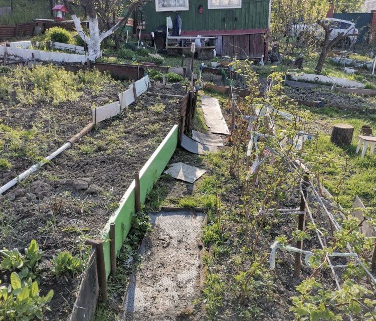 земля г Владивосток Владивостокский городской округ, садоводческое товарищество Луч фото 2