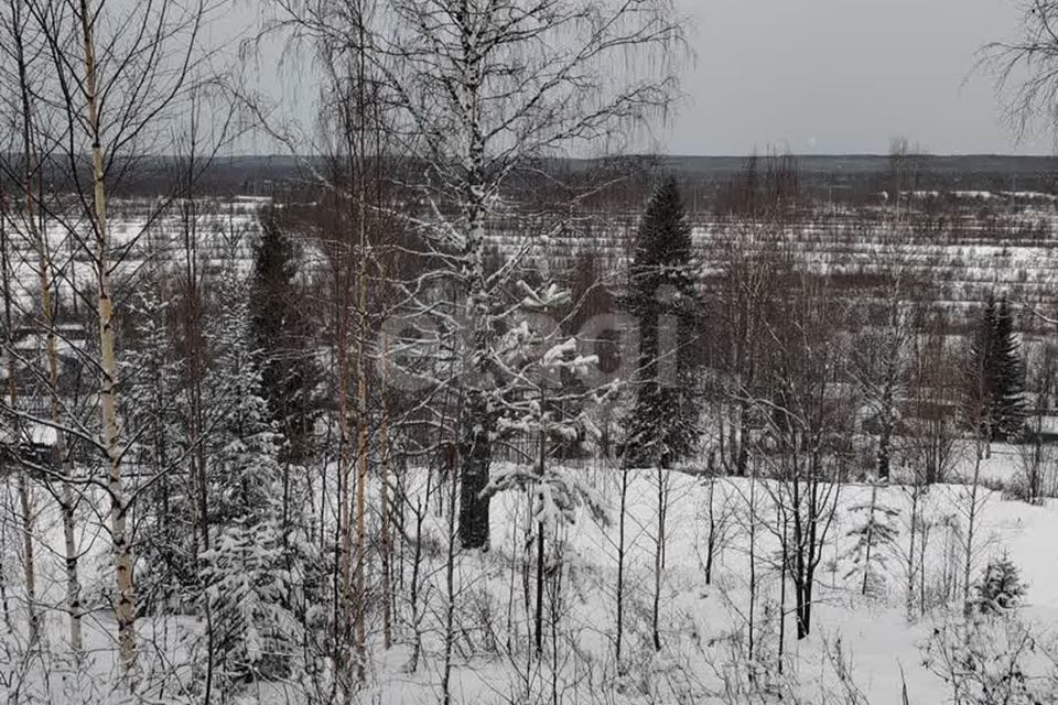 земля г Ухта городской округ Ухта, садово-огородническое товарищество Геолог-69 фото 3