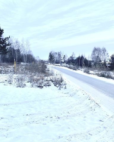 Академический ул Удельная фото