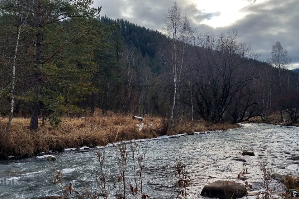 земля р-н Чемальский село Нижний Куюм фото 9