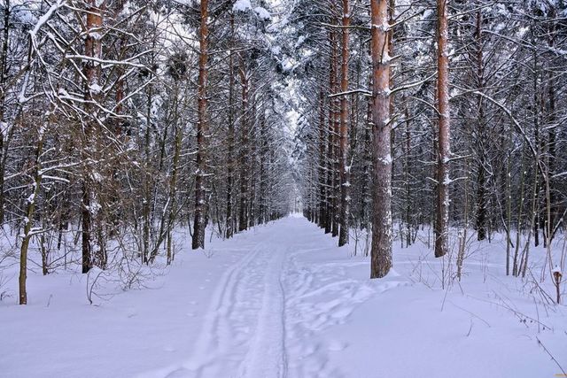 Добрянский городской округ, коттеджный посёлок Красная Горка фото