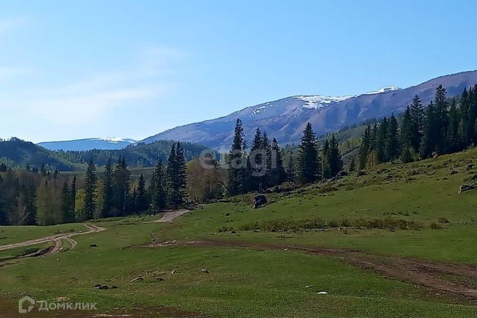 земля р-н Усть-Коксинский с Тюнгур ул Сухова фото 4