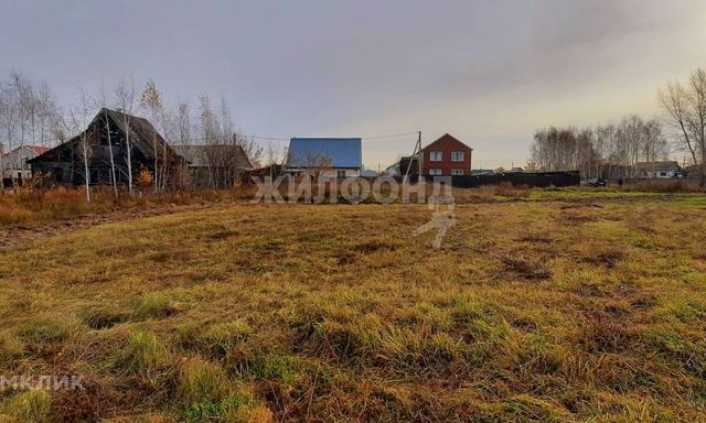 ул Вересковая городской округ Новосибирск фото