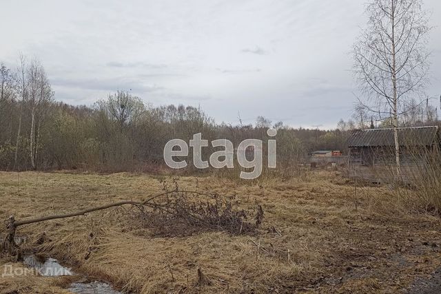 земля ул Центральная Кузнечихинский сельский округ фото